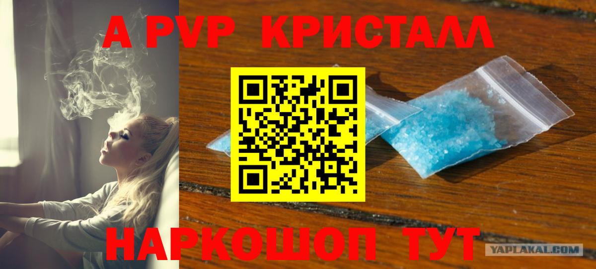 где найти наркотики  A PVP крисы CK  Вход с VPN  Гатчина  А ПВП крисы CK 