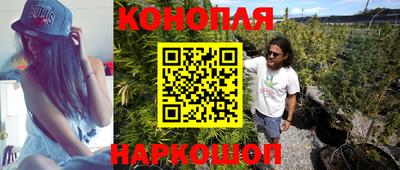 сатива Иваново