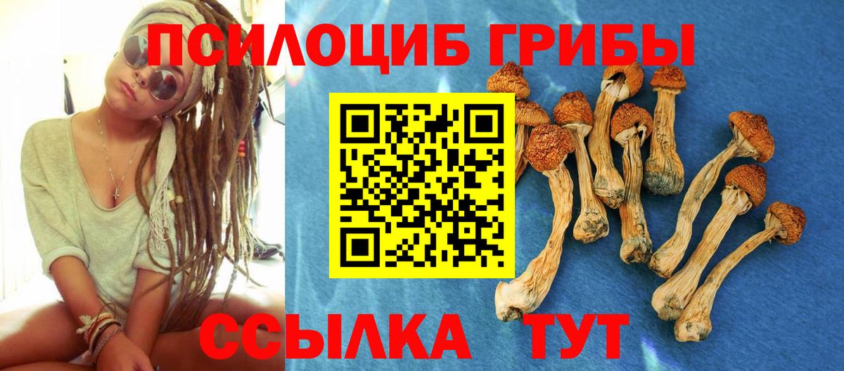 Галлюциногенные грибы прущие грибы Гатчина