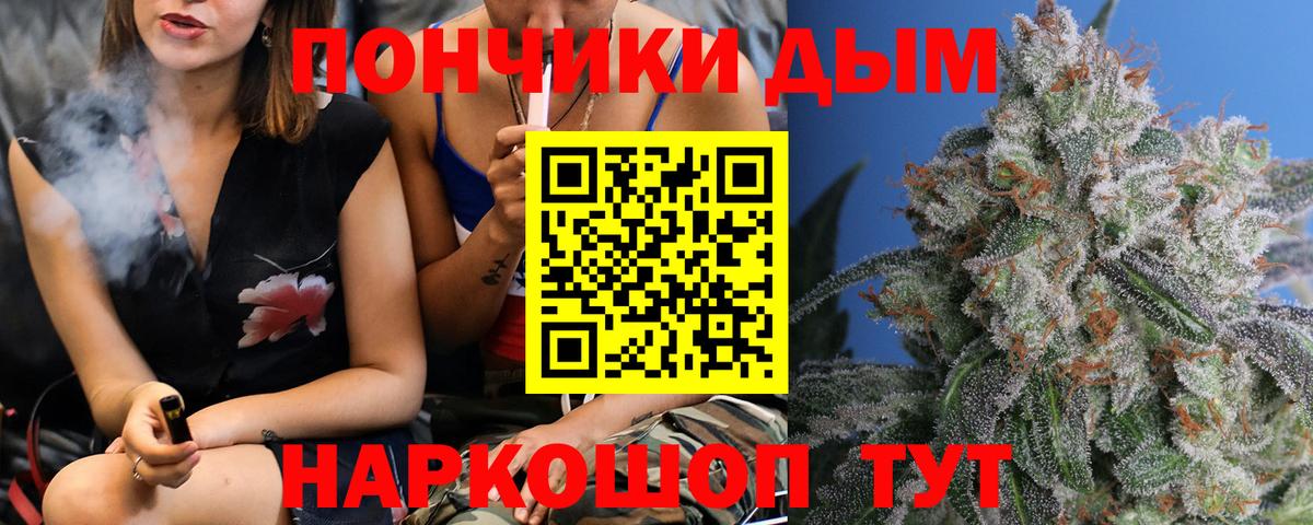 Марихуана марихуана Гатчина